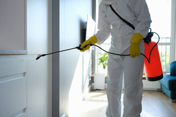 Best Bathroom Mold Remediation in Morrison, IL