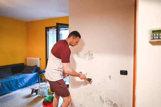 Best Basement Mold Remediation in Morrison, IL